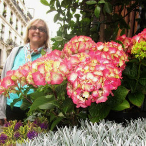 Meet your Posher, Nancy